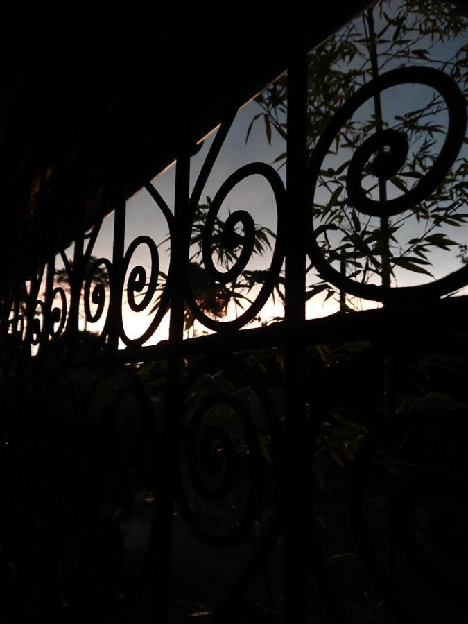 Bed and Breakfast O'Jane De Boy Lège-Cap-Ferret Zewnętrze zdjęcie